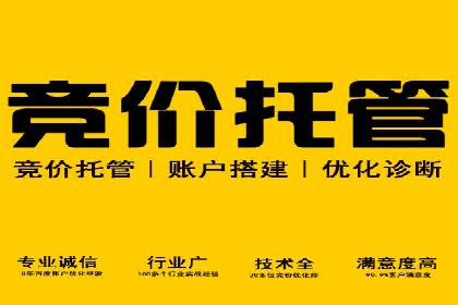 实战解析：SEM竞价托管助力企业快速起量